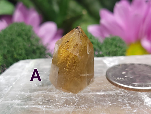 Small Rutile Quartz