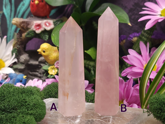 Rose Quartz Towers
