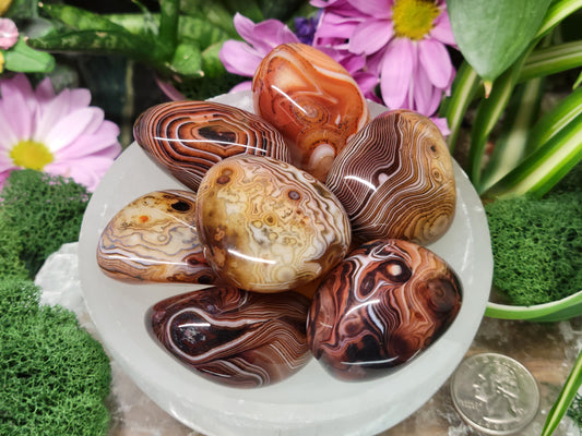 Sardonyx Palm Stones