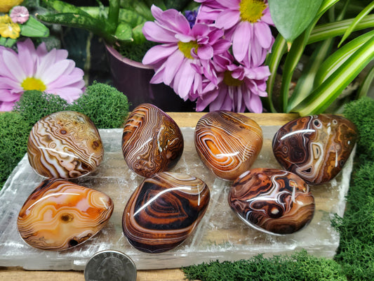 Sardonyx Palm Stones