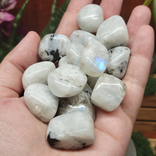 Rainbow Moonstone Tumble
