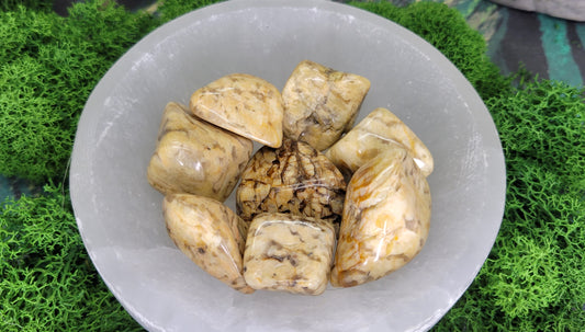 Zebradorite Tumble - Rock Bottom Jewelry & Engraving