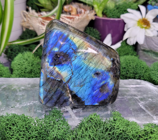 Labradorite Freeform - Rock Bottom Jewelry & Engraving