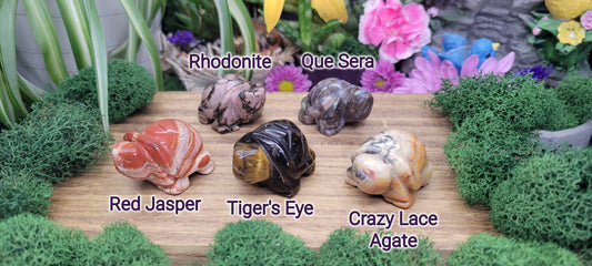 Small Turtles - Rock Bottom Jewelry & Engraving