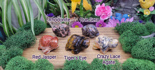 Small Turtles - Rock Bottom Jewelry & Engraving