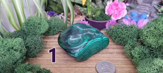 Malachite Freeforms - Rock Bottom Jewelry & Engraving