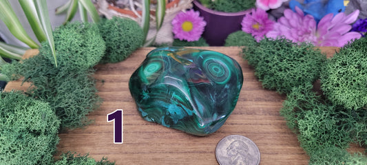 Malachite Freeforms - Rock Bottom Jewelry & Engraving