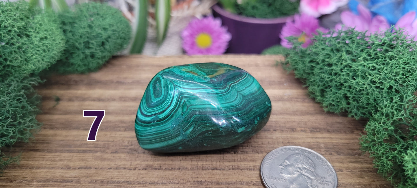 Malachite Freeforms - Rock Bottom Jewelry & Engraving