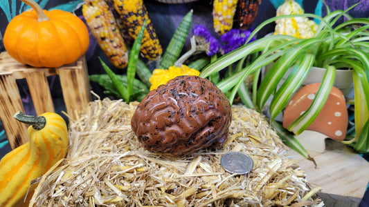Large Mahogany Obsidian Brain Carving - Rock Bottom Jewelry & Engraving