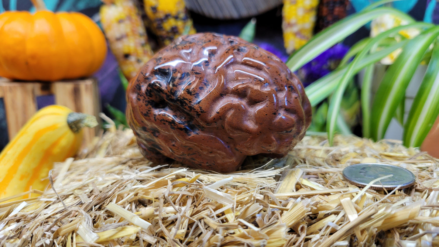 Large Mahogany Obsidian Brain Carving - Rock Bottom Jewelry & Engraving