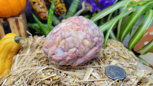 Large Red Vein Jasper Brain Carving - Rock Bottom Jewelry & Engraving