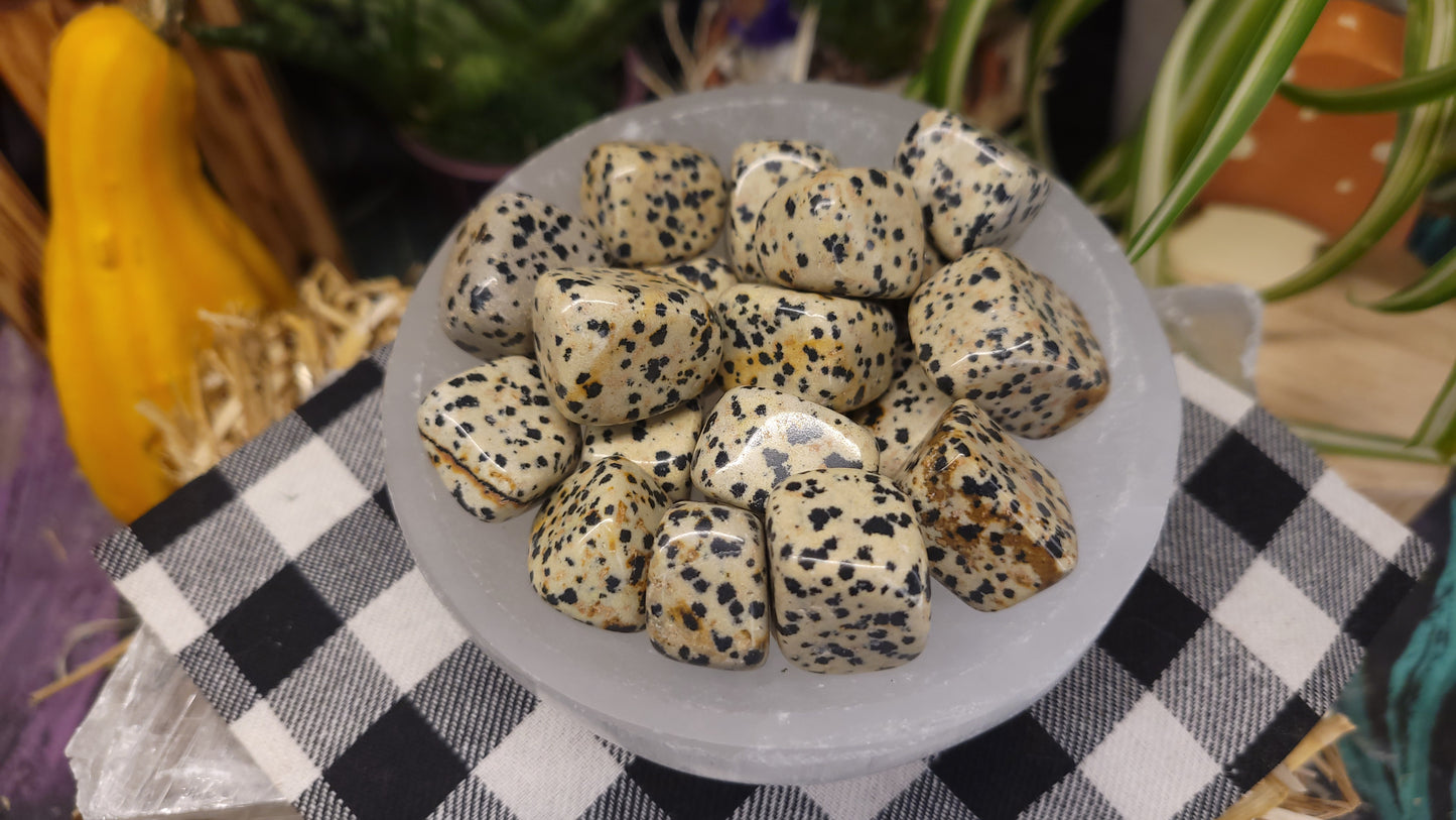 Dalmatian Jasper Tumble