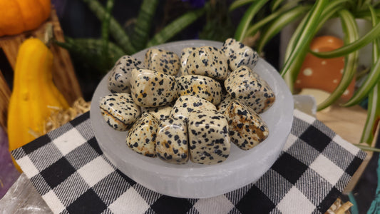 Dalmatian Jasper Tumble