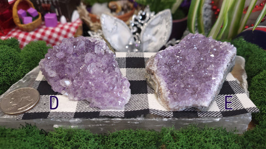 Amethyst Clusters