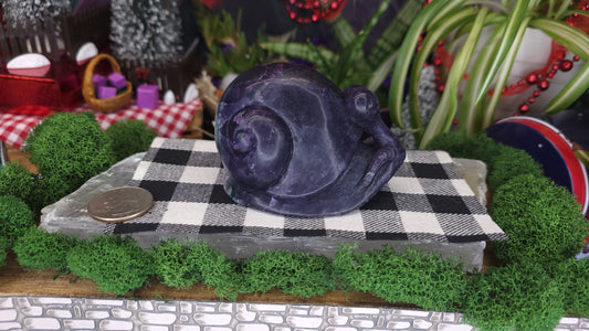 Fluorite Snail