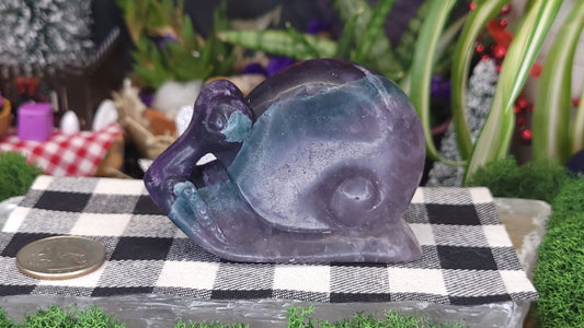 Fluorite Snail