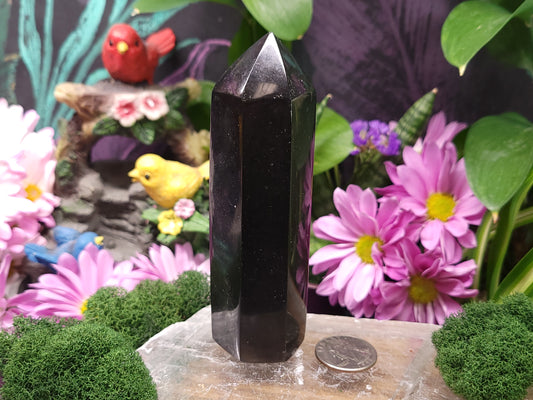 Black Tourmaline Tower