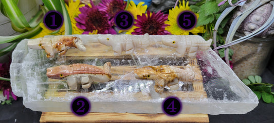 Soapstone Crocodile Carvings - Rock Bottom Jewelry & Engraving