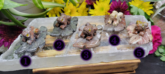 Soapstone Frog Carvings - Rock Bottom Jewelry & Engraving