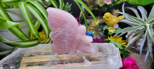 Rose Quartz Fairy - Rock Bottom Jewelry & Engraving