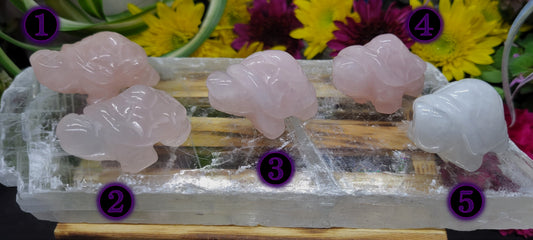 Rose Quartz Turtles - Rock Bottom Jewelry & Engraving