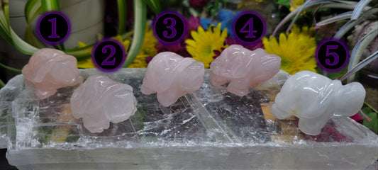 Rose Quartz Turtles - Rock Bottom Jewelry & Engraving