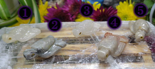 Soapstone Sea Turtle Carvings - Rock Bottom Jewelry & Engraving