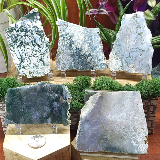Moss Agate Slabs