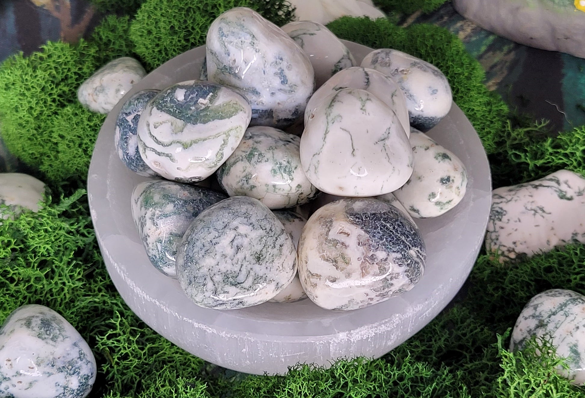 Tree Agate Tumble - Rock Bottom Jewelry & Engraving