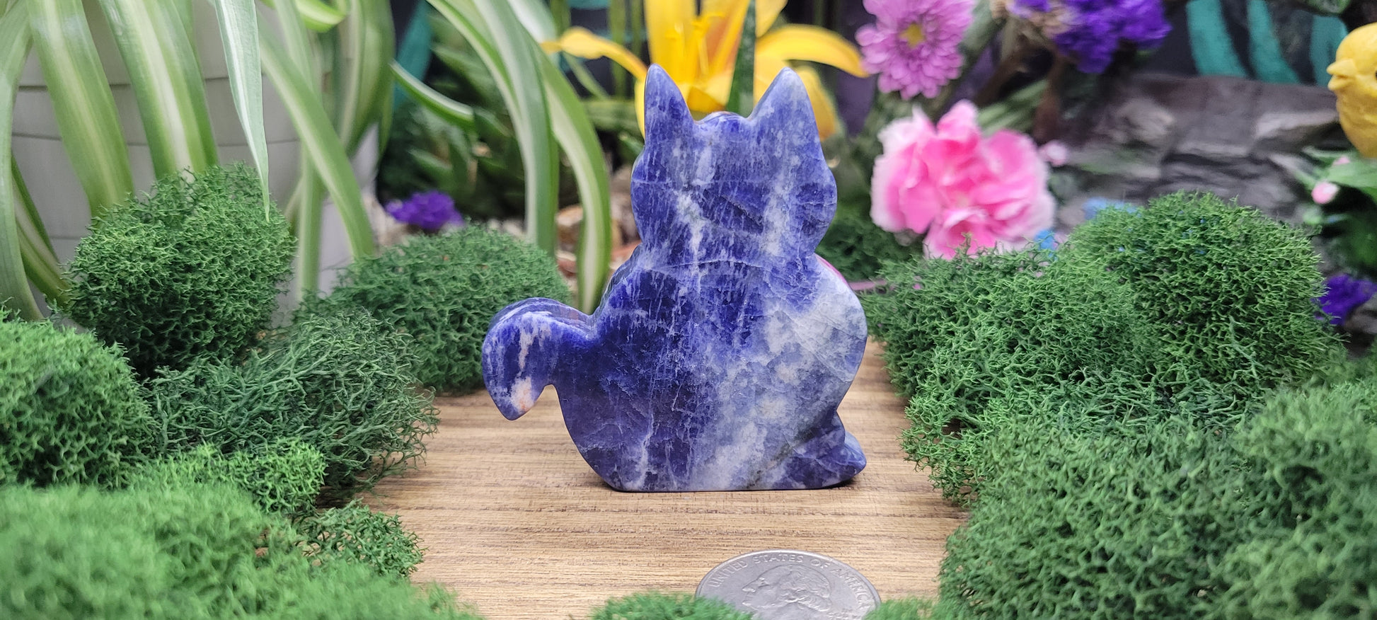 Sodalite Cat Carvings - Rock Bottom Jewelry & Engraving