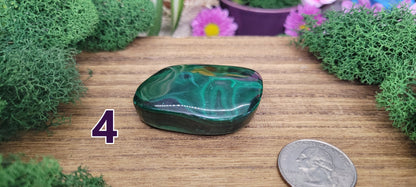 Malachite Freeforms - Rock Bottom Jewelry & Engraving