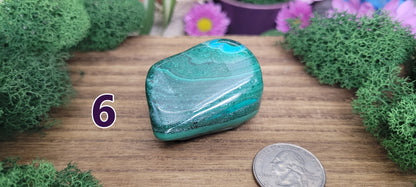 Malachite Freeforms - Rock Bottom Jewelry & Engraving