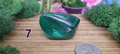 Malachite Freeforms - Rock Bottom Jewelry & Engraving
