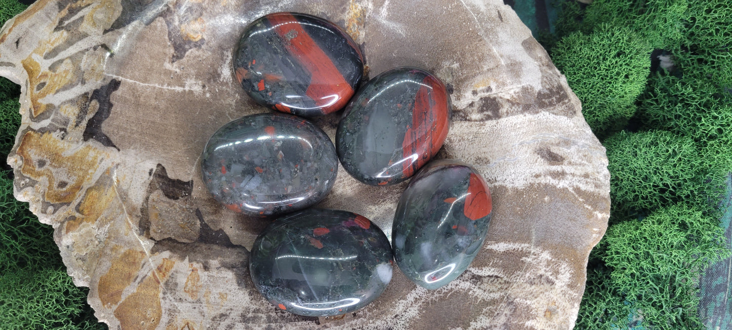 Small African Bloodstone Palm Stones