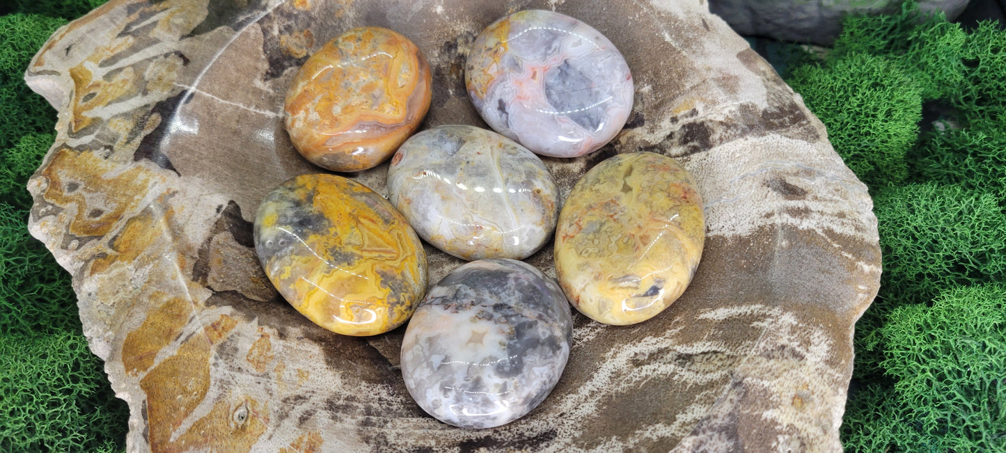 Small Crazy Lace Agate Palm Stones - Rock Bottom Jewelry & Engraving