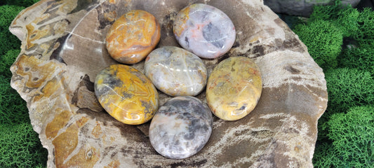 Small Crazy Lace Agate Palm Stones