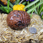 Large Mahogany Obsidian Brain Carving