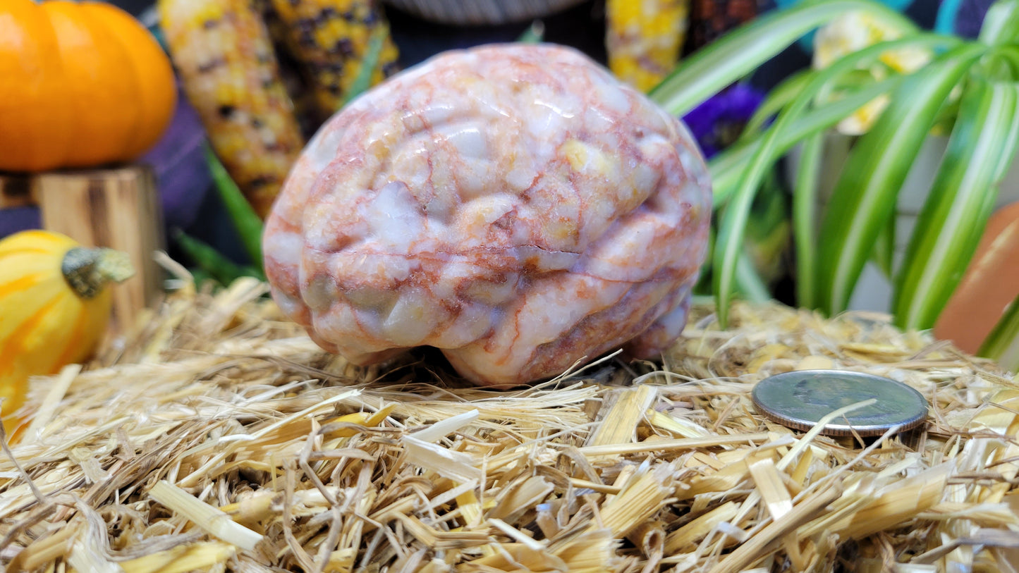 Large Red Vein Jasper Brain Carving
