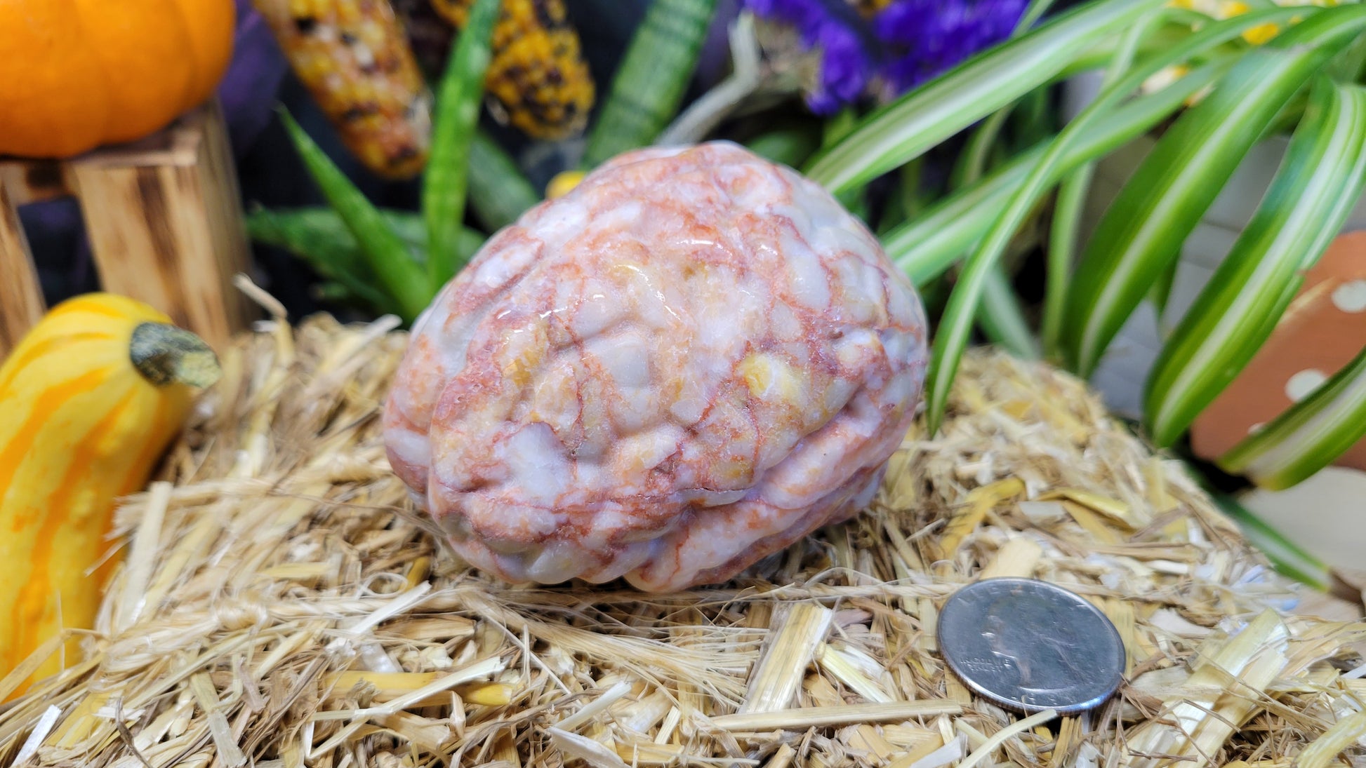 Large Red Vein Jasper Brain Carving - Rock Bottom Jewelry & Engraving