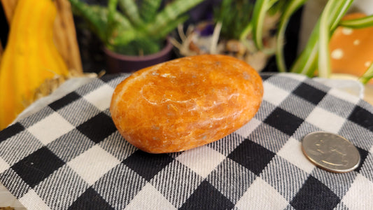 Sunstone Palm Stone