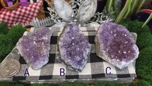 Amethyst Clusters