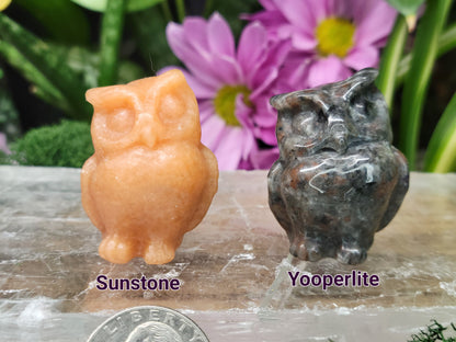Owl Carvings