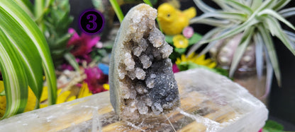 Amethyst Cluster Freeforms - Rock Bottom Jewelry & Engraving