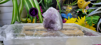 Amethyst Cluster Freeforms - Rock Bottom Jewelry & Engraving