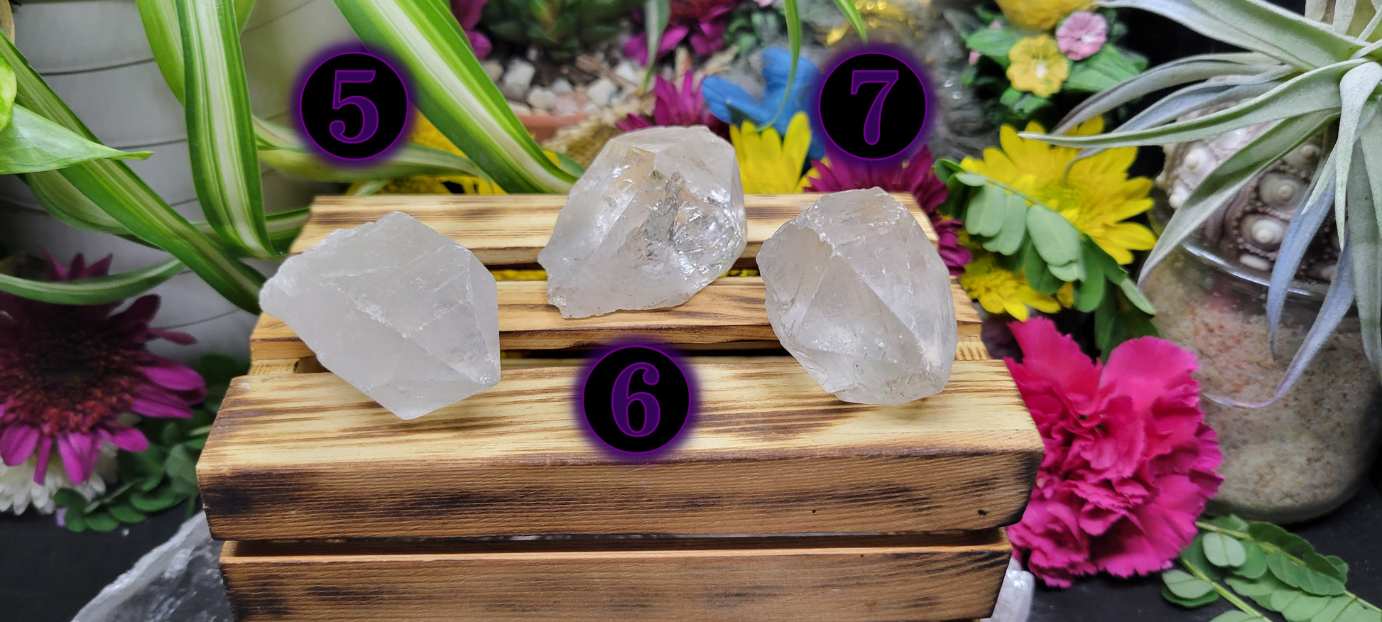 Raw Clear Quartz Points - Rock Bottom Jewelry & Engraving