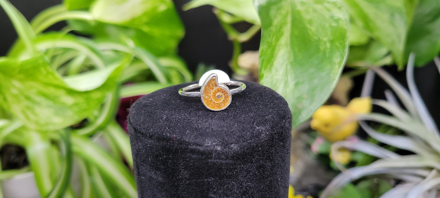 Ammonite Rings - Rock Bottom Jewelry & Engraving