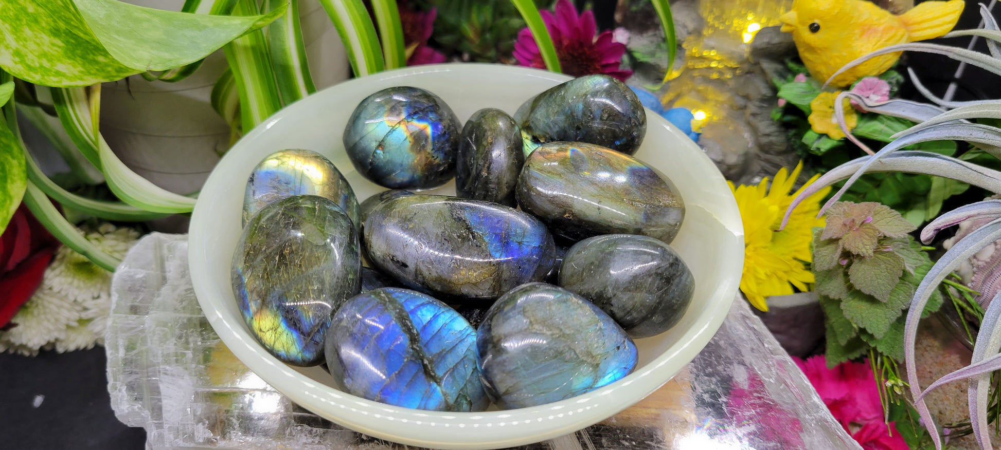 Small Labradorite Palm Stones - Rock Bottom Jewelry & Engraving